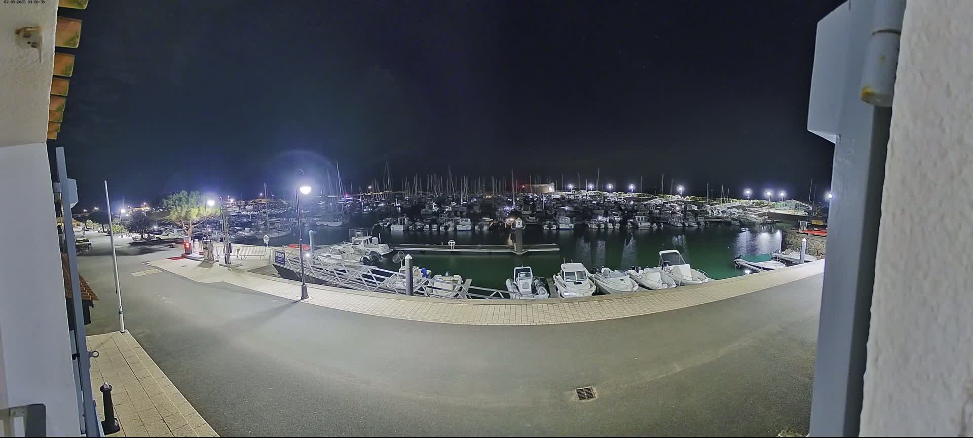 A marina filled with numerous boats is seen at night under a clear, dark sky.
