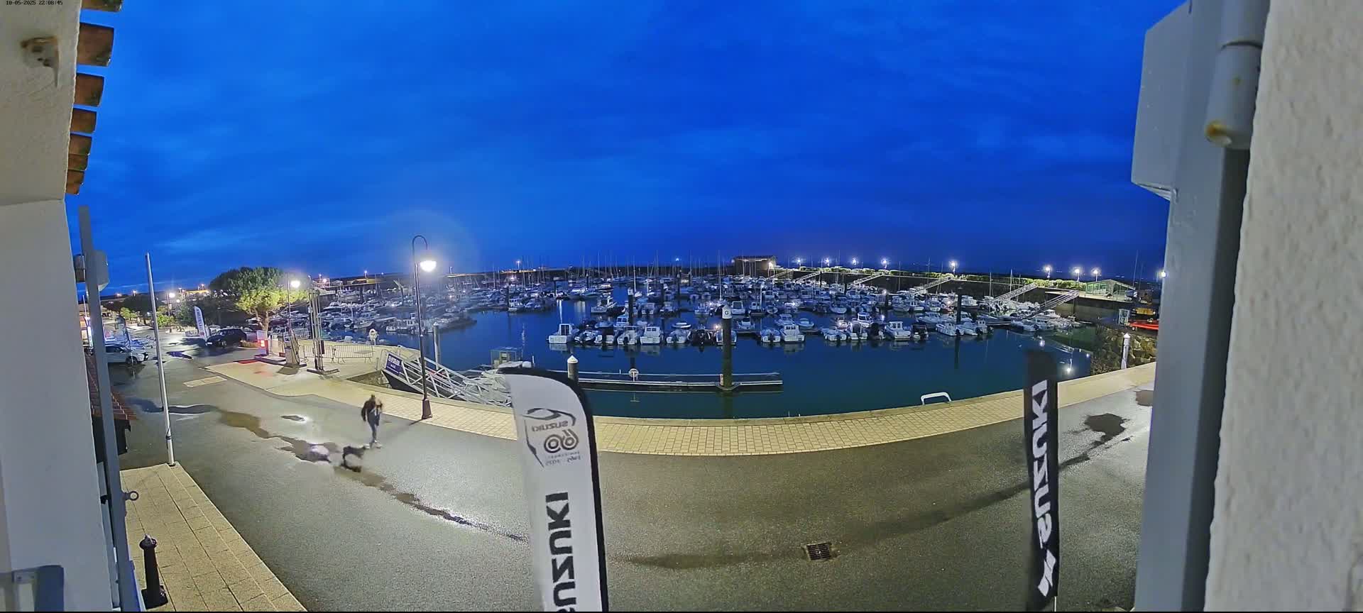 A person walks a dog along a wet paved area at night next to a marina filled with numerous boats under a clear, dark blue sky.