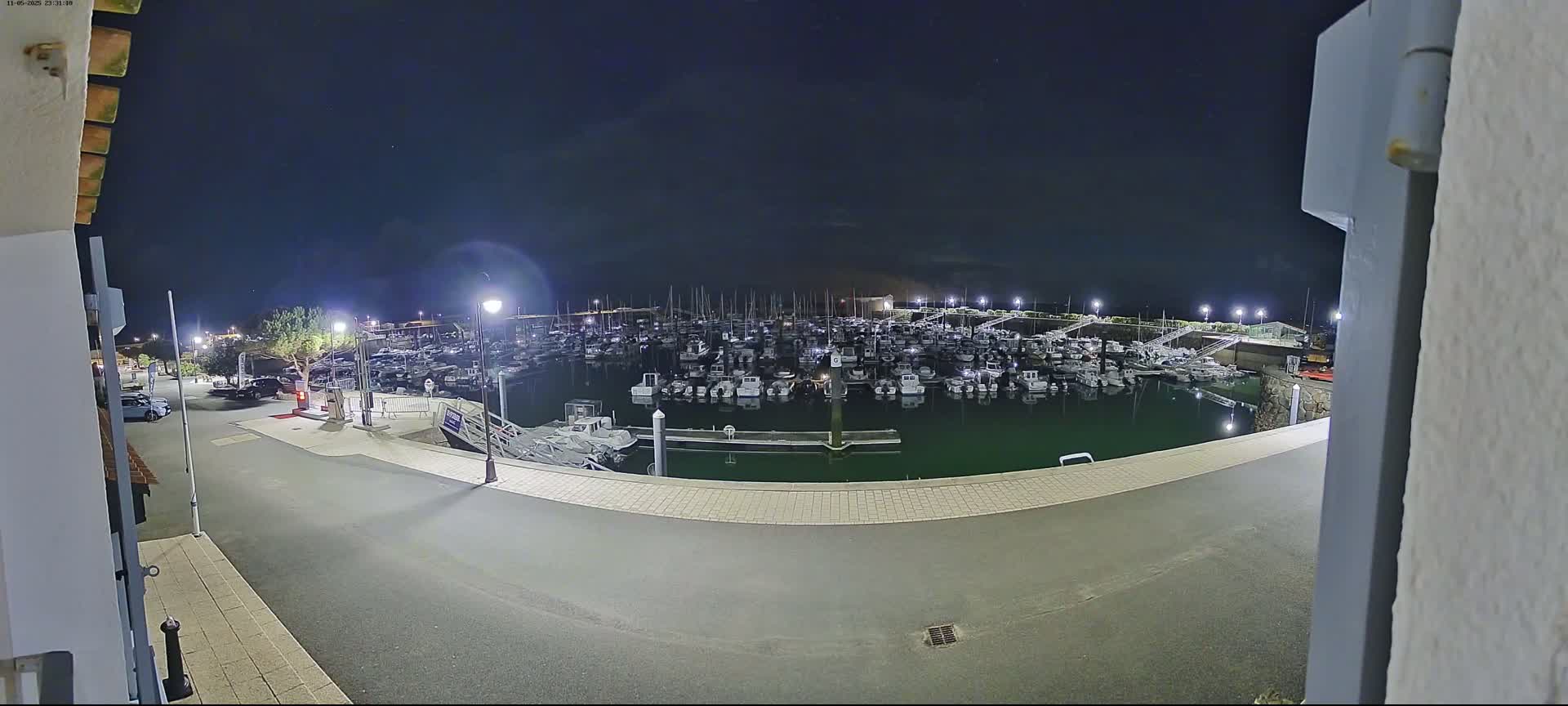A nighttime view of a marina filled with numerous boats, illuminated by artificial lights under a clear, dark sky.