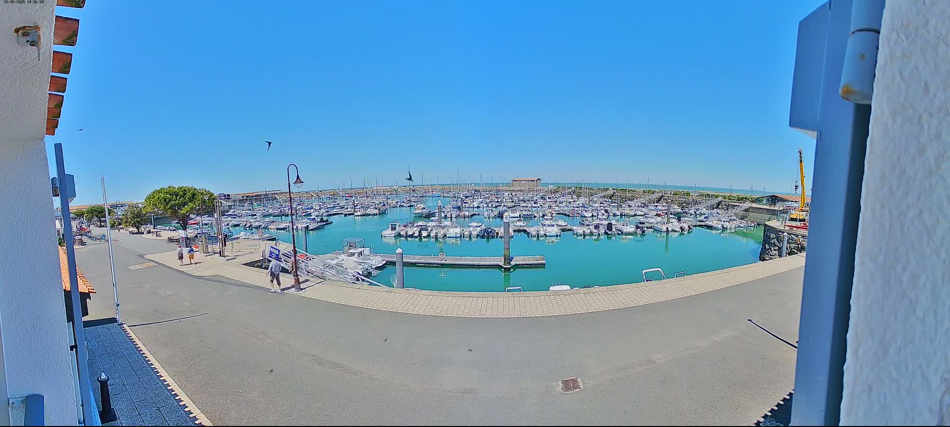 A marina filled with numerous boats is seen on a sunny day, with a few people walking along the paved walkway next to the water.