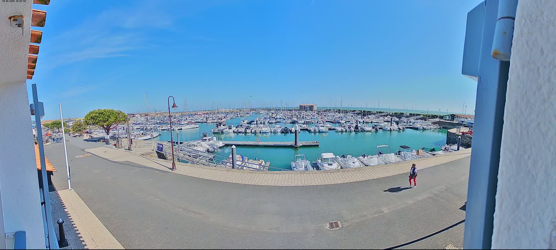A marina filled with numerous boats under a clear, sunny sky is viewed from a slightly elevated vantage point.