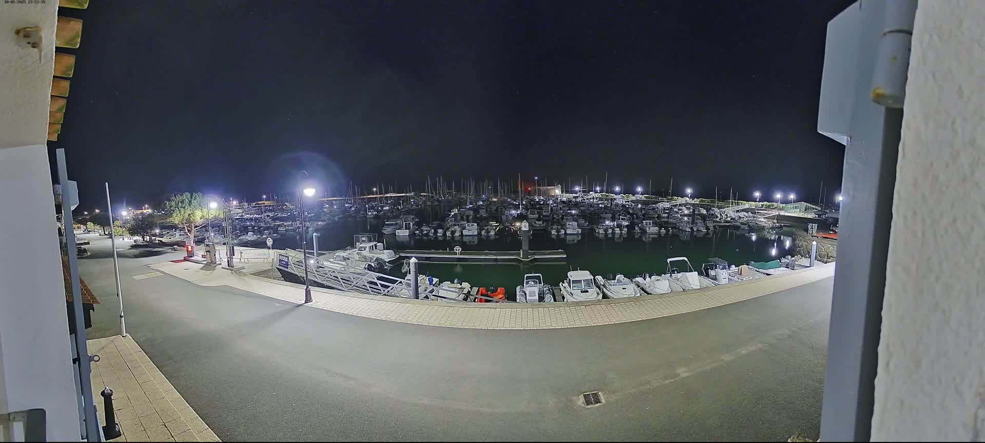 A nighttime view of a marina filled with many boats, illuminated by artificial lights under a clear, dark sky.