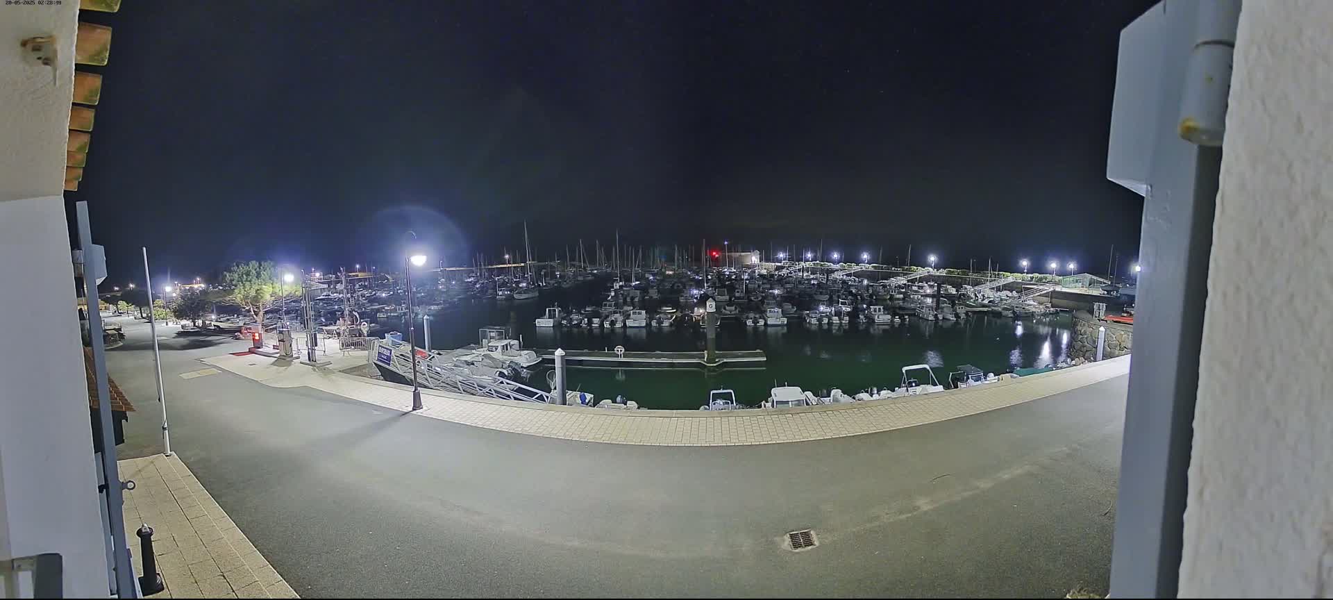 A marina filled with boats at night under a clear, dark sky.