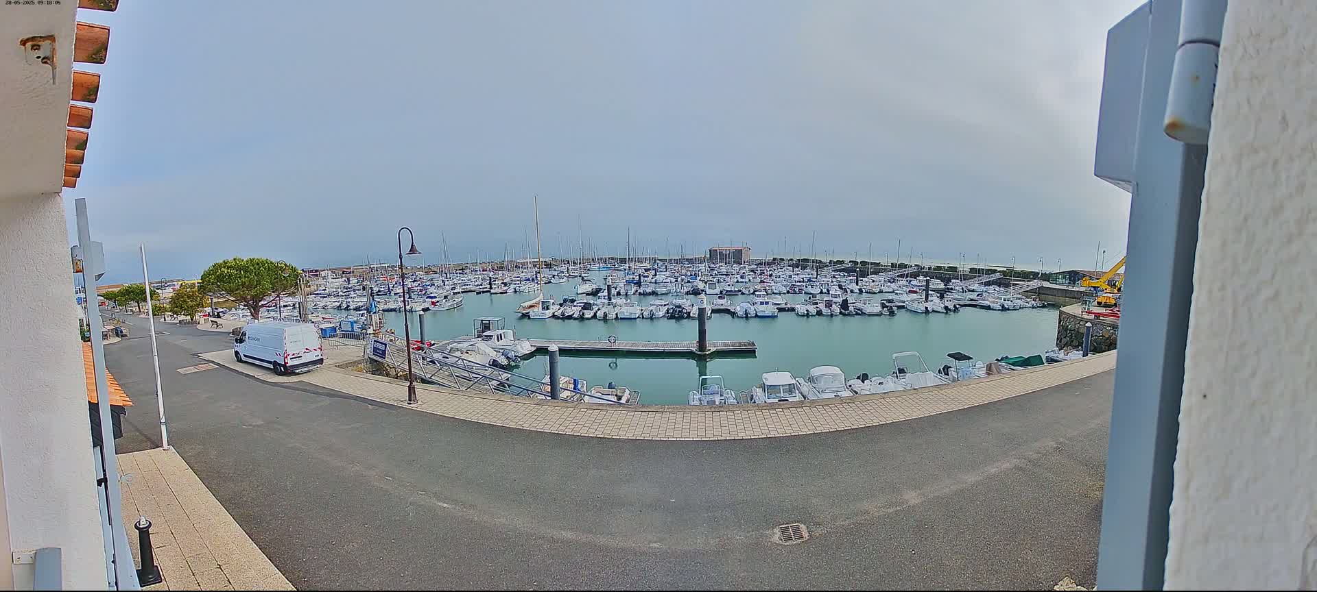 A marina filled with numerous boats is seen on an overcast day, with a paved road and a white van visible in the foreground.