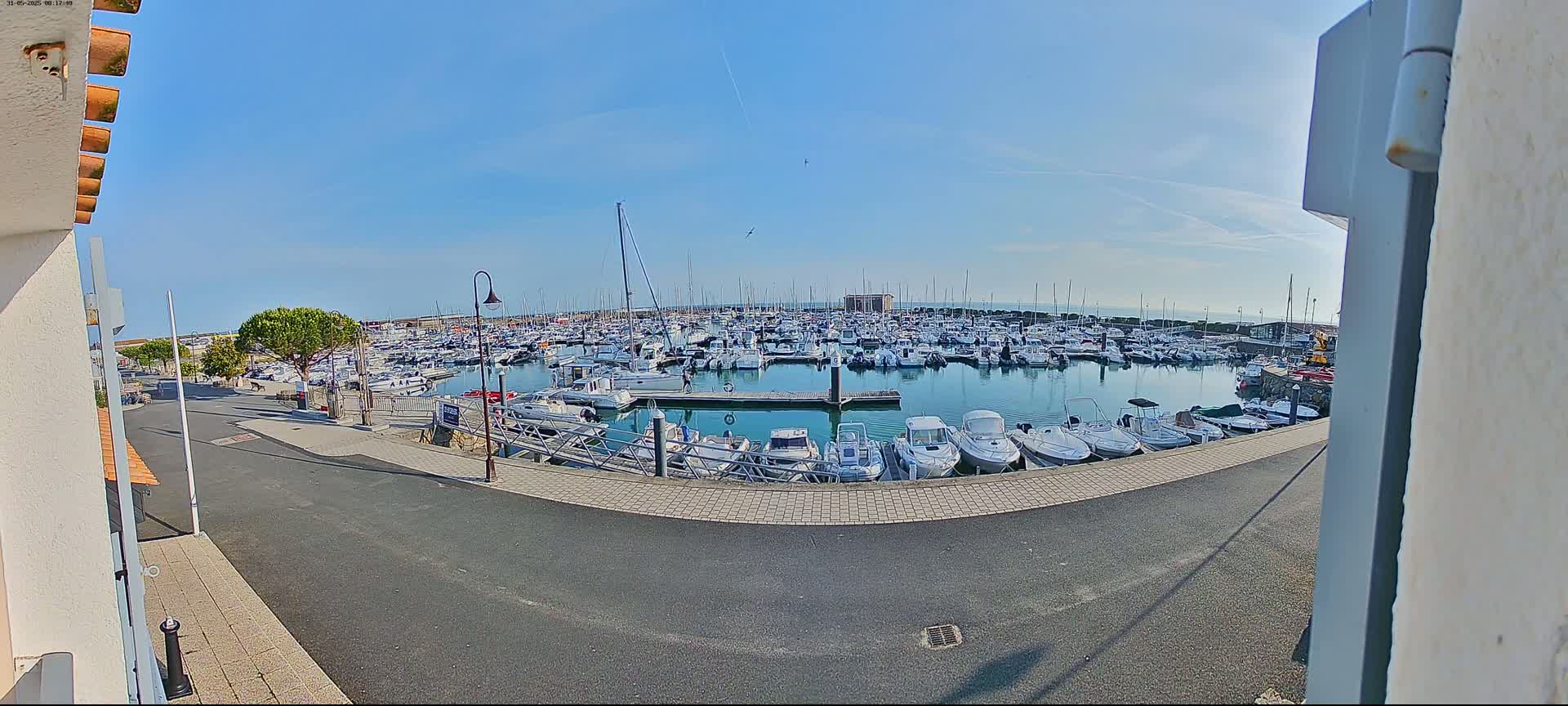 A marina filled with numerous boats is viewed from a landside perspective on a clear, sunny day.