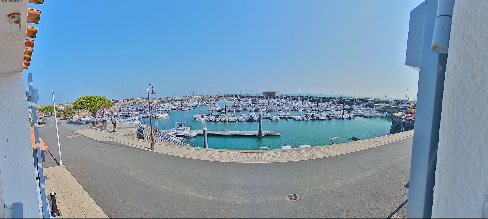 A marina filled with numerous boats is seen on a sunny day from a slightly elevated viewpoint.
