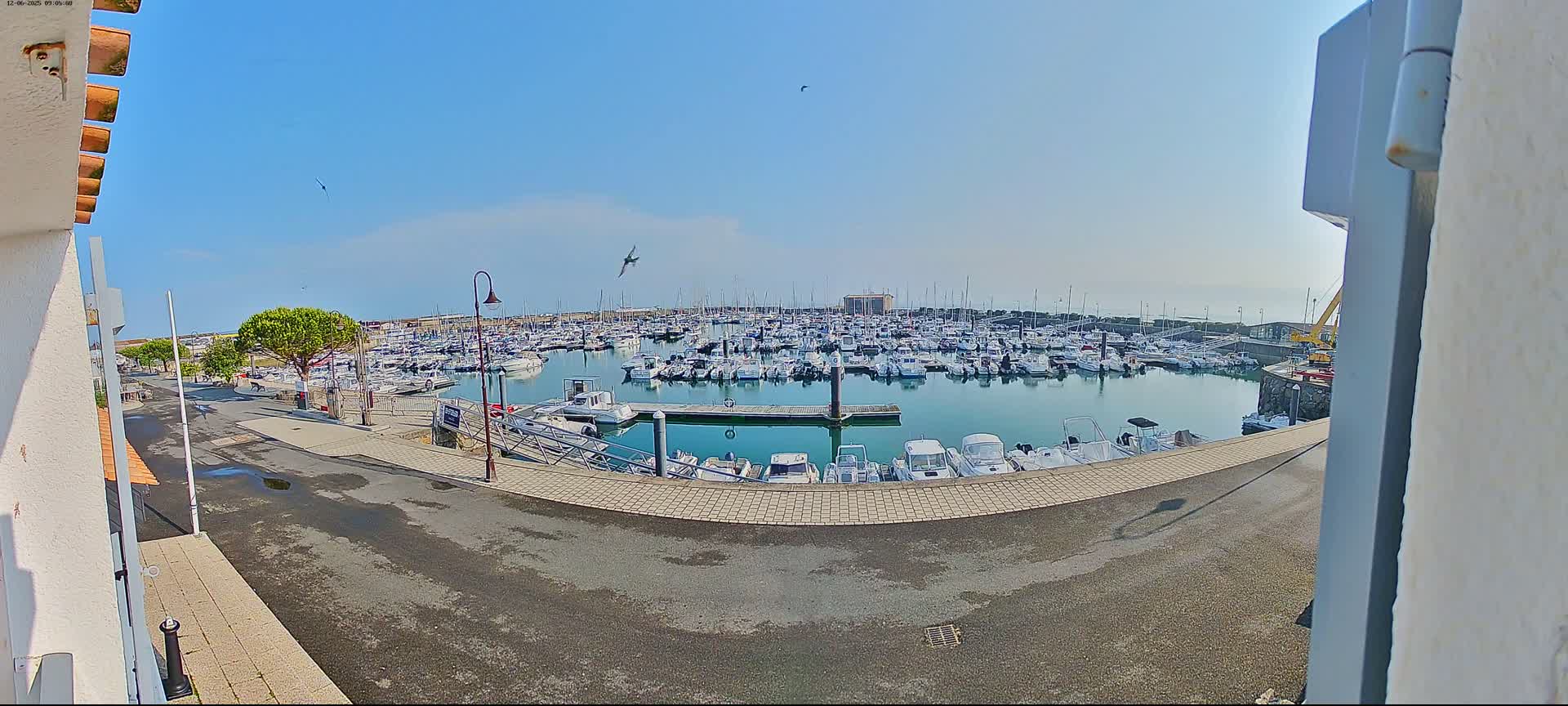 A marina filled with numerous boats is viewed from a slightly elevated vantage point on a sunny day.