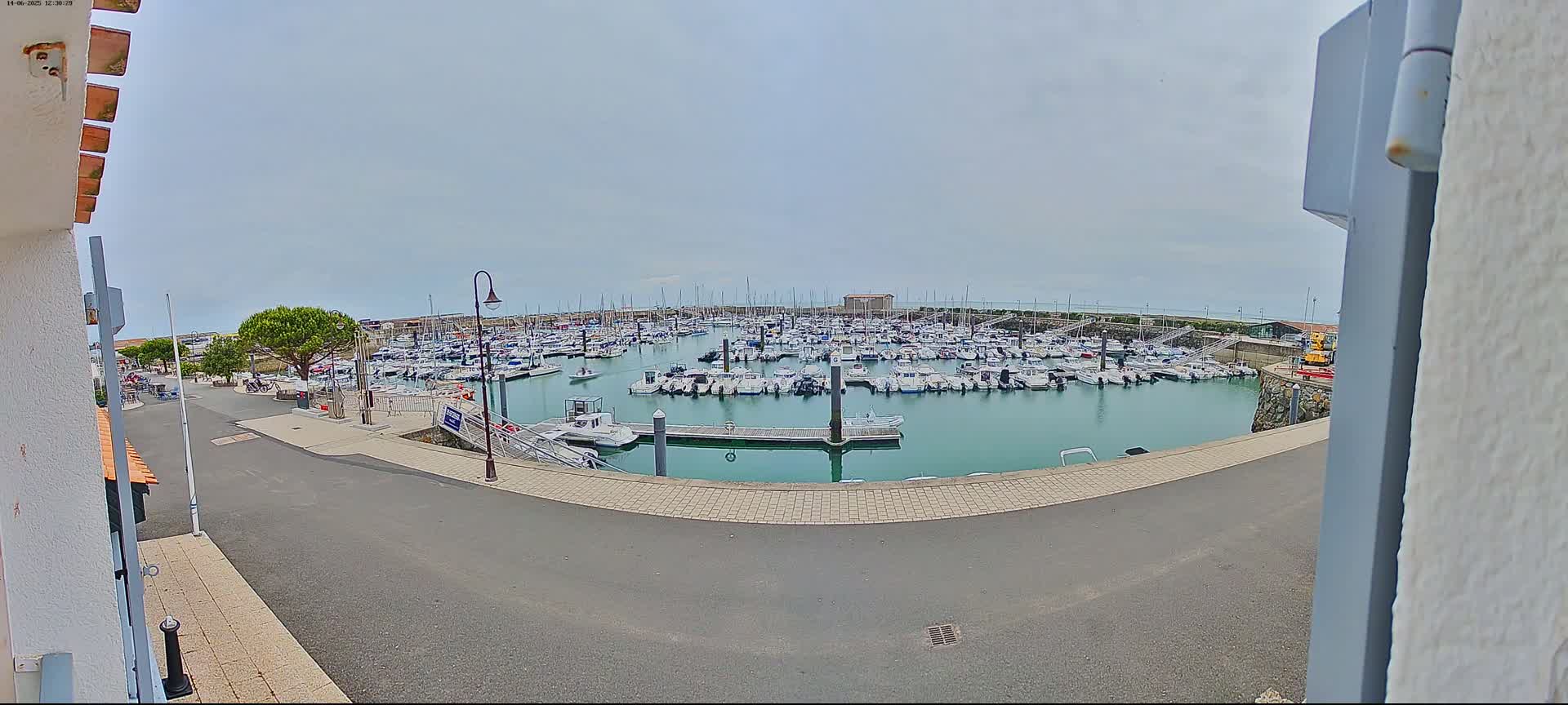 A marina filled with numerous boats is seen on an overcast day from a slightly elevated vantage point.