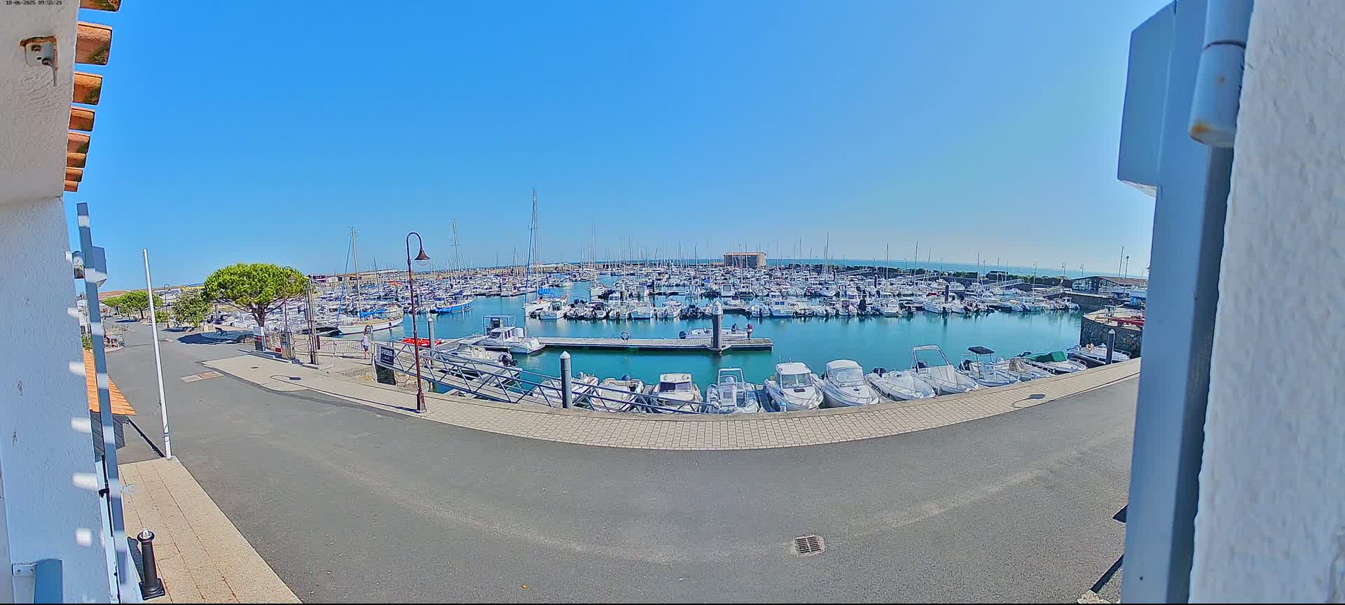 A marina filled with numerous boats is viewed from a slightly elevated position on a sunny day.