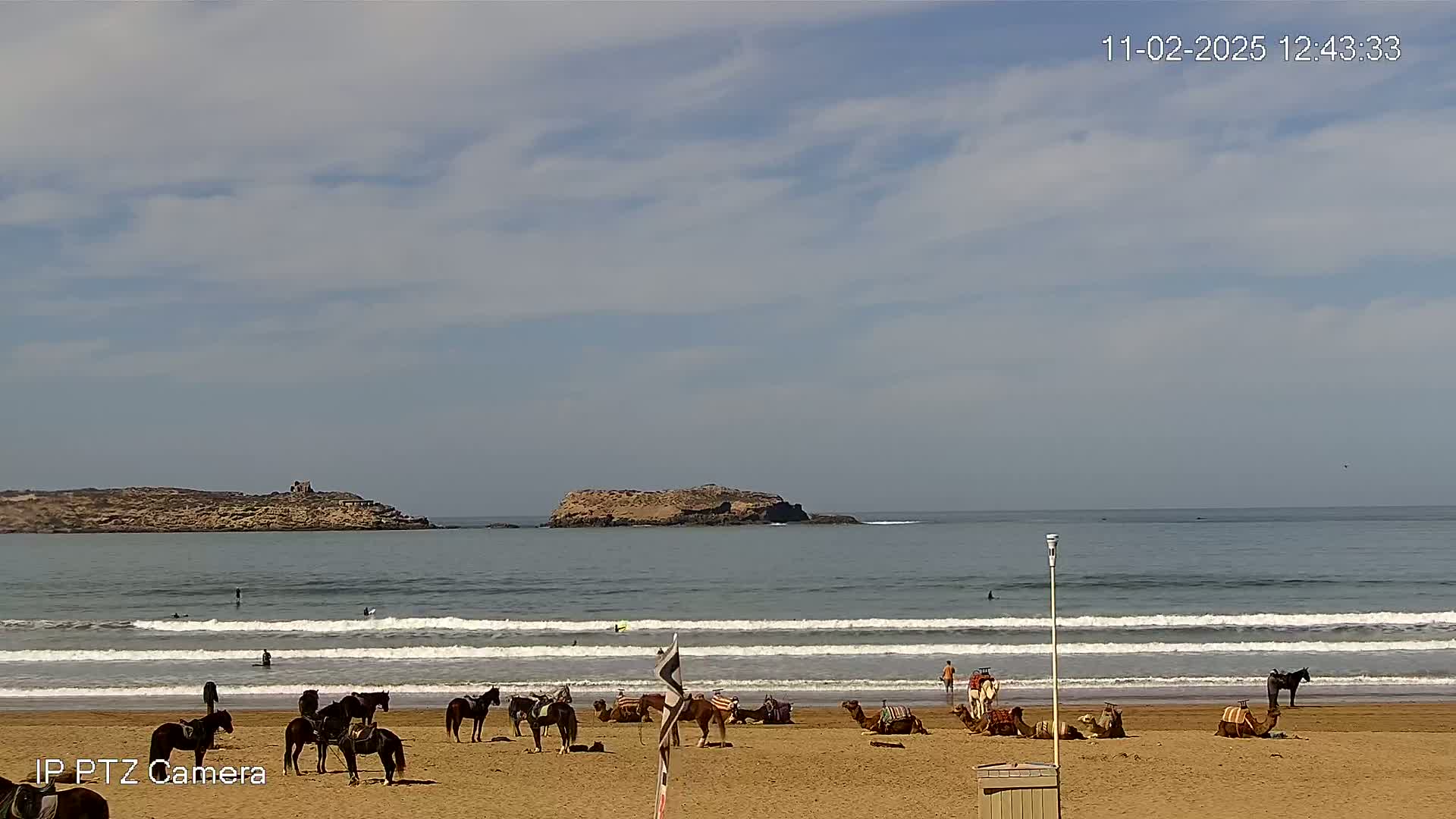 A sandy beach with horses and camels on it, people standing nearby, and a few surfers in the ocean under a partly cloudy sky.