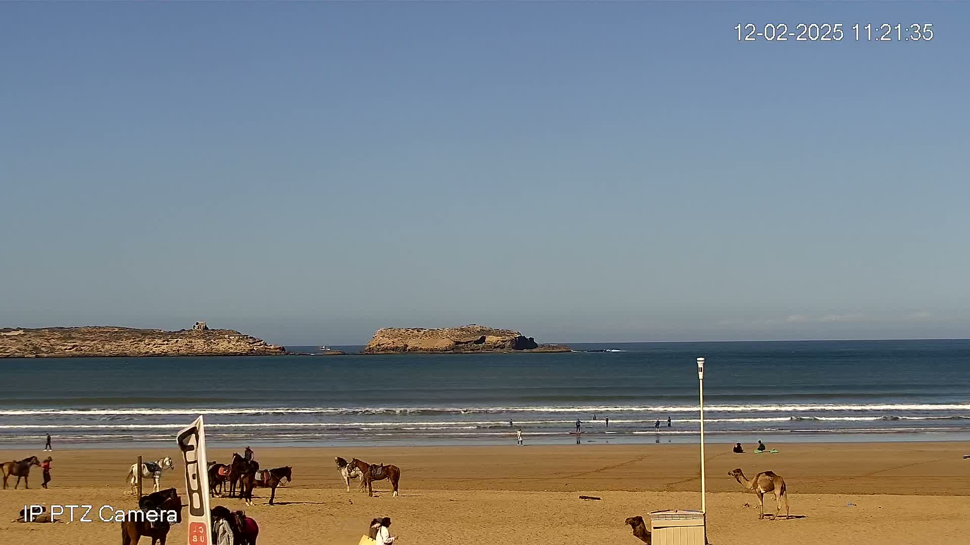 A sandy beach with several horses and camels, some people, and small waves on a clear, sunny day.