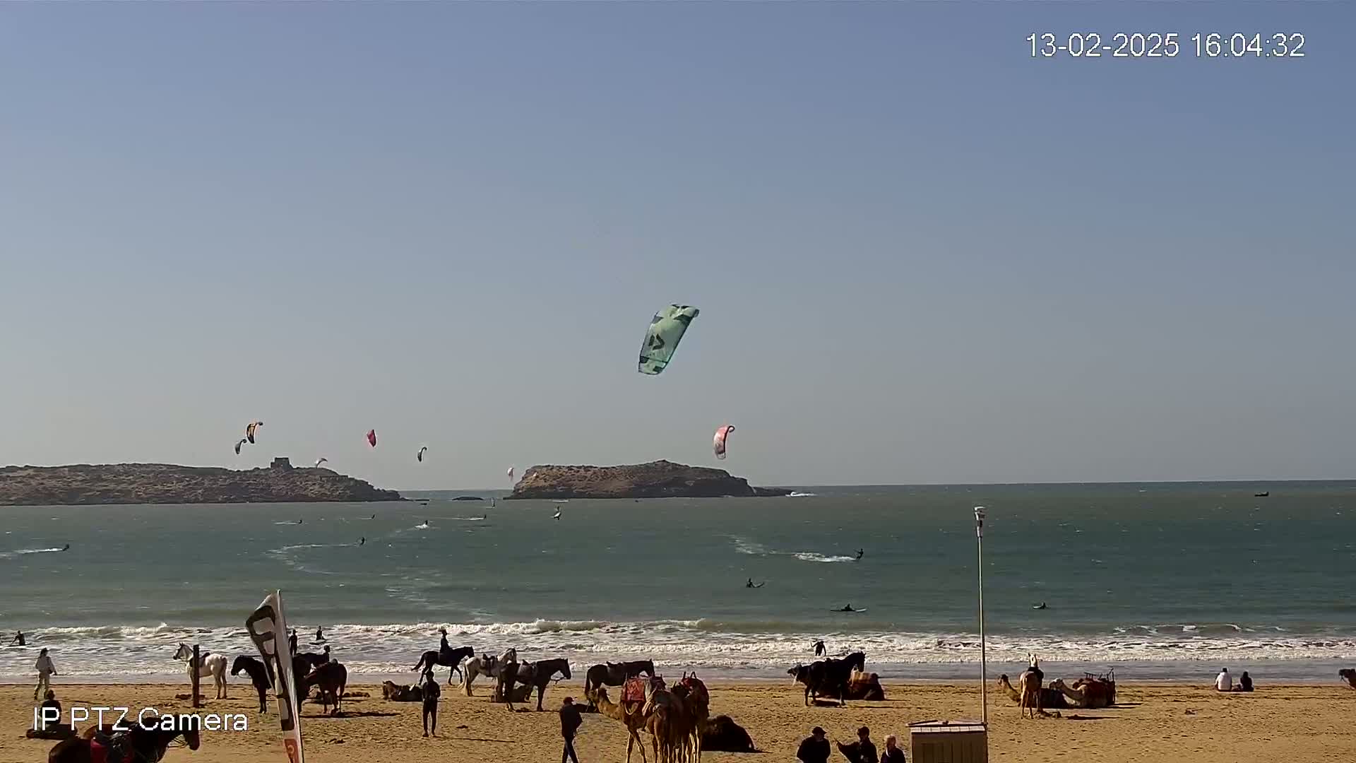 A sandy beach with horses, camels, and people, several kitesurfers in the ocean under a clear blue sky.
