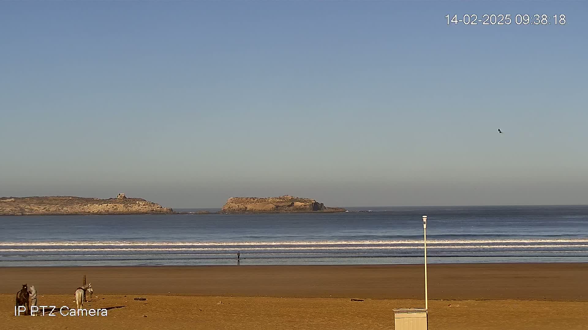 A sandy beach with two horses and a person in the distance, overlooking a calm ocean with two small islands under a clear blue sky.