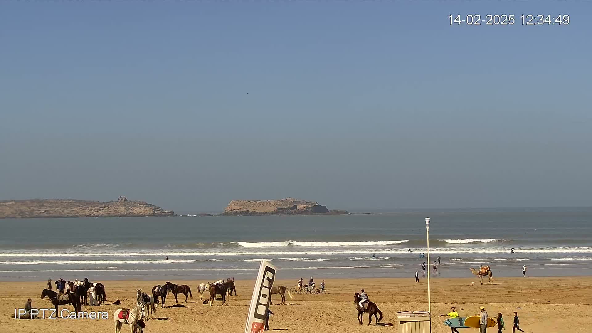 A sandy beach with several horses and people, some surfers in the ocean, and a small island in the distance under a clear blue sky.