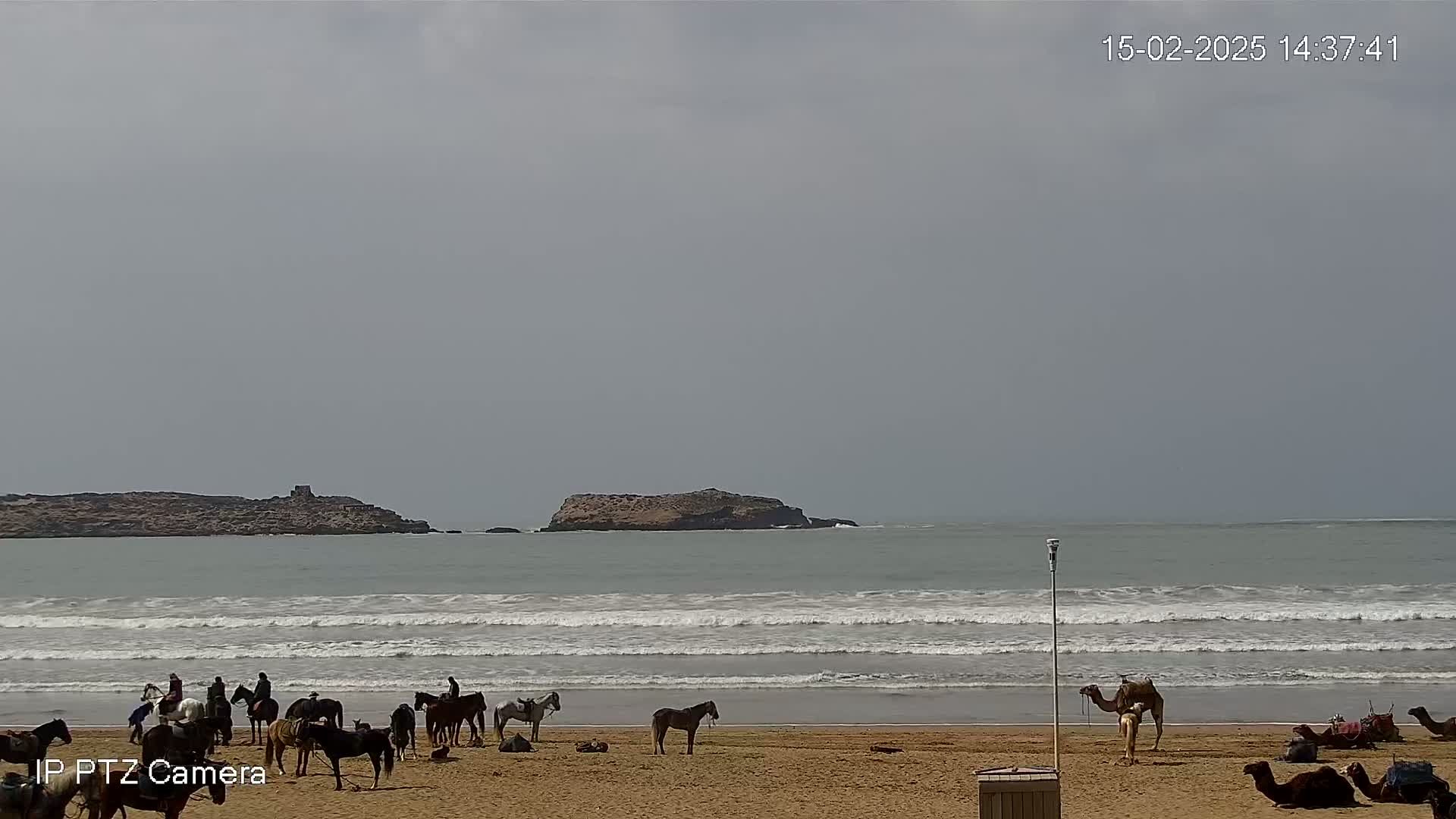A sandy beach with several horses and camels, ridden and unridden, near calm ocean waves and two small islands under an overcast sky.