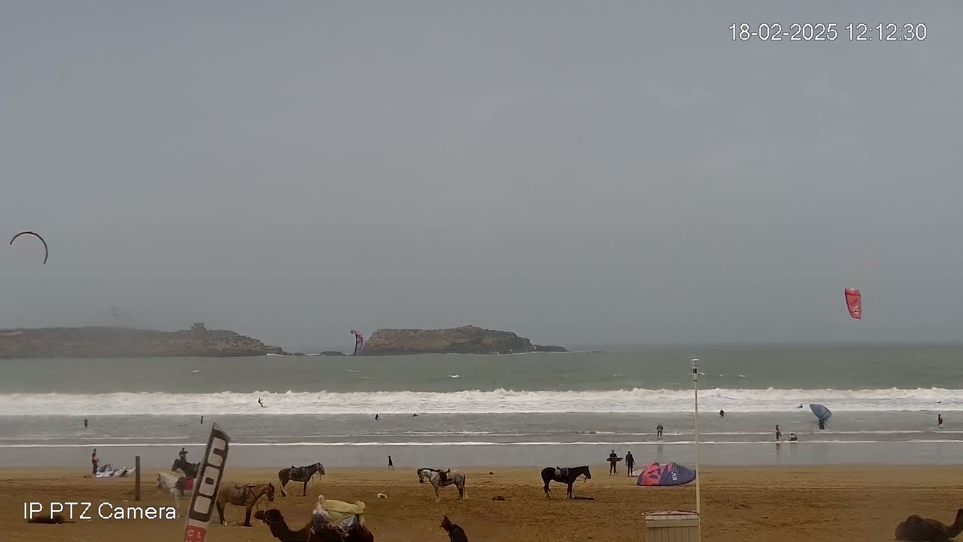 A sandy beach with several people, horses, and camels is shown under an overcast sky; several kitesurfers are visible in the ocean.