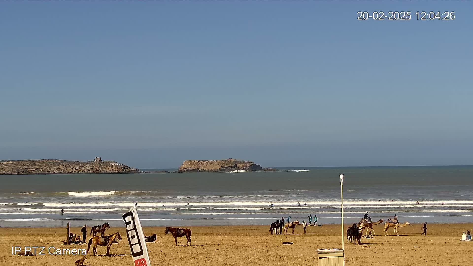 A sandy beach with several people riding horses and camels, some surfers in the ocean, and two small islands in the distance under a clear blue sky.