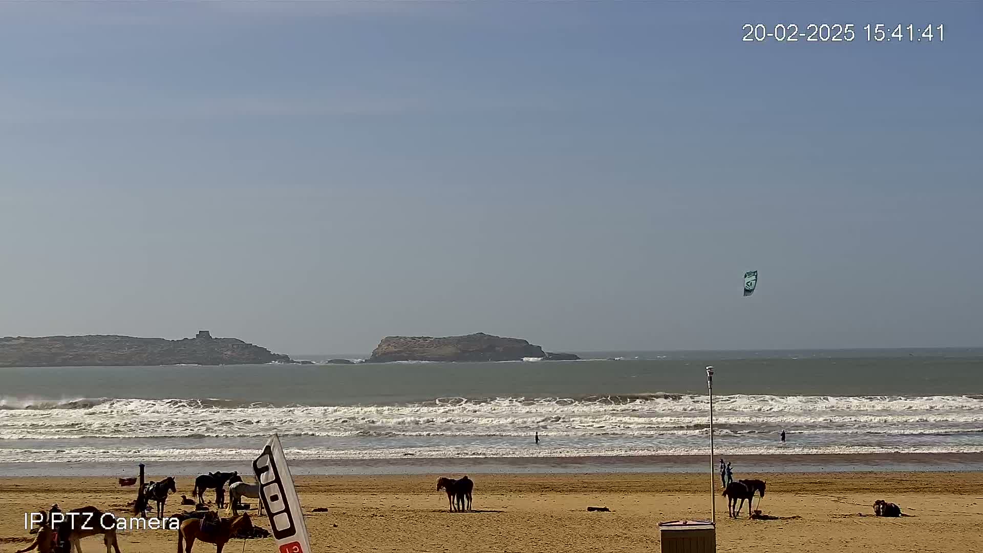 A sandy beach with several horses, a kitesurfer in the distance, and ocean waves rolling onto the shore under a clear sky.