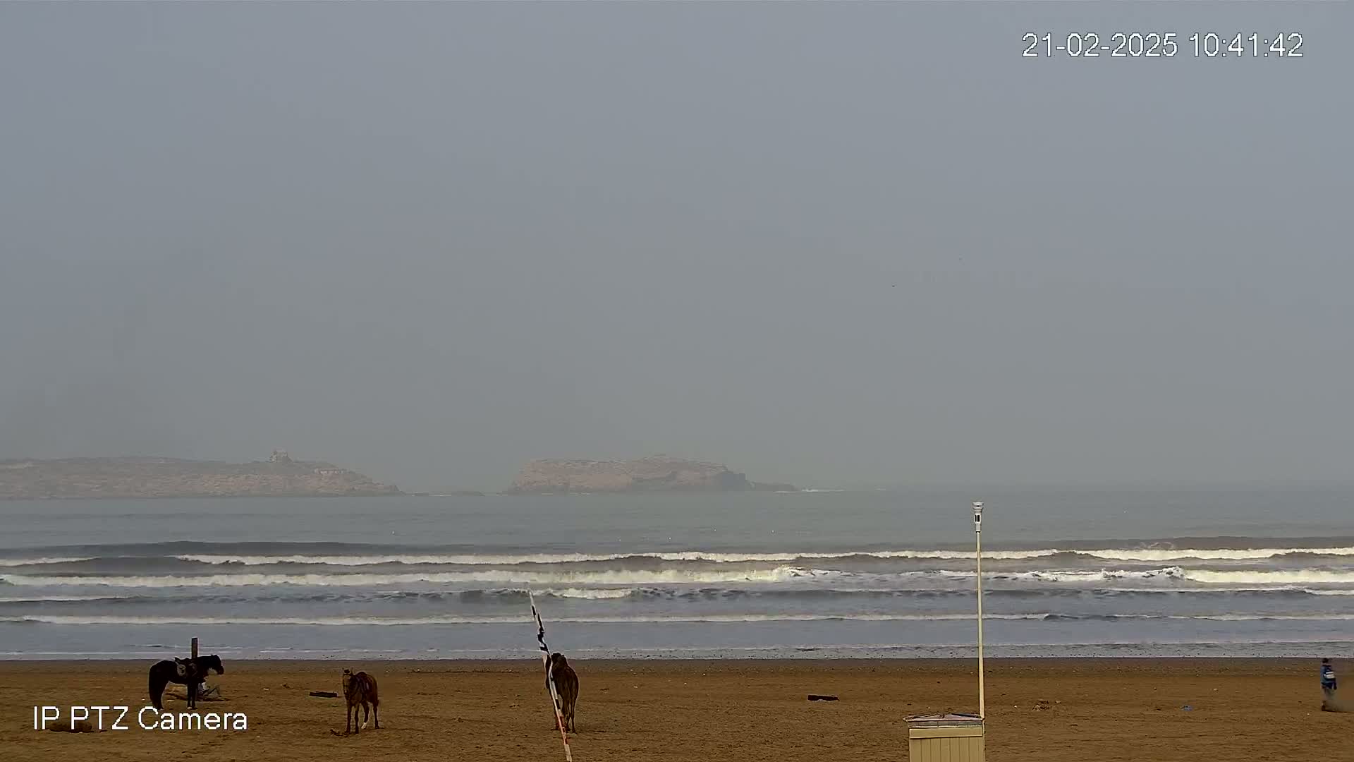 A hazy day shows a sandy beach with a horse and rider, a camel, and a person walking in the distance, while waves roll in toward the shore with a distant island visible on the horizon.