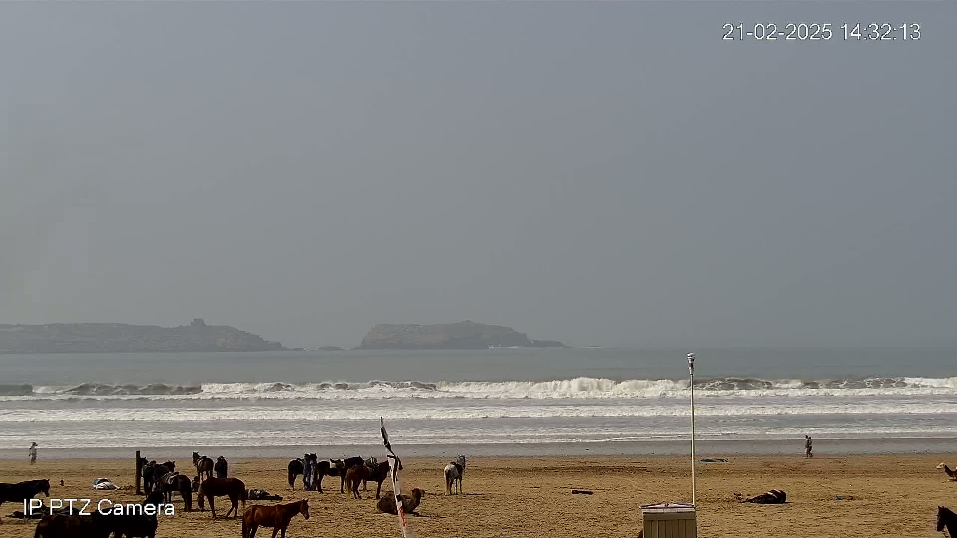 A hazy beach scene shows a sandy shore with numerous horses and a few people, gentle waves breaking on the coast, and a distant island visible on the horizon.