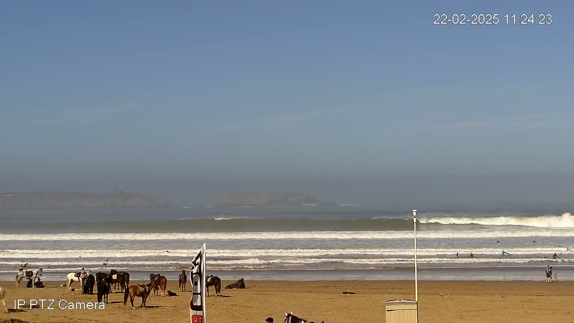 A sandy beach with several horses and riders, surfers in the ocean, and a hazy, distant island under a clear blue sky.