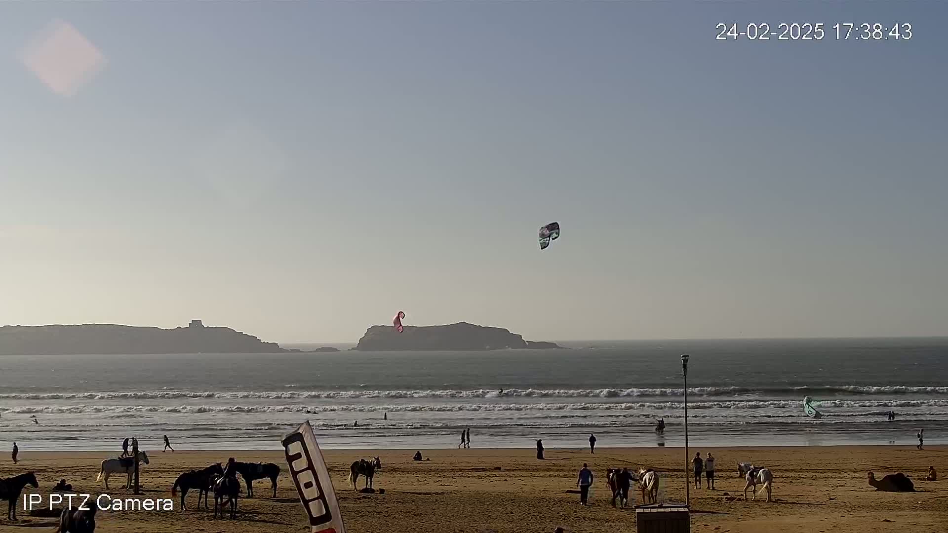 A sandy beach with horses and people, two kitesurfers in the ocean, and an island in the distance under a clear sky.