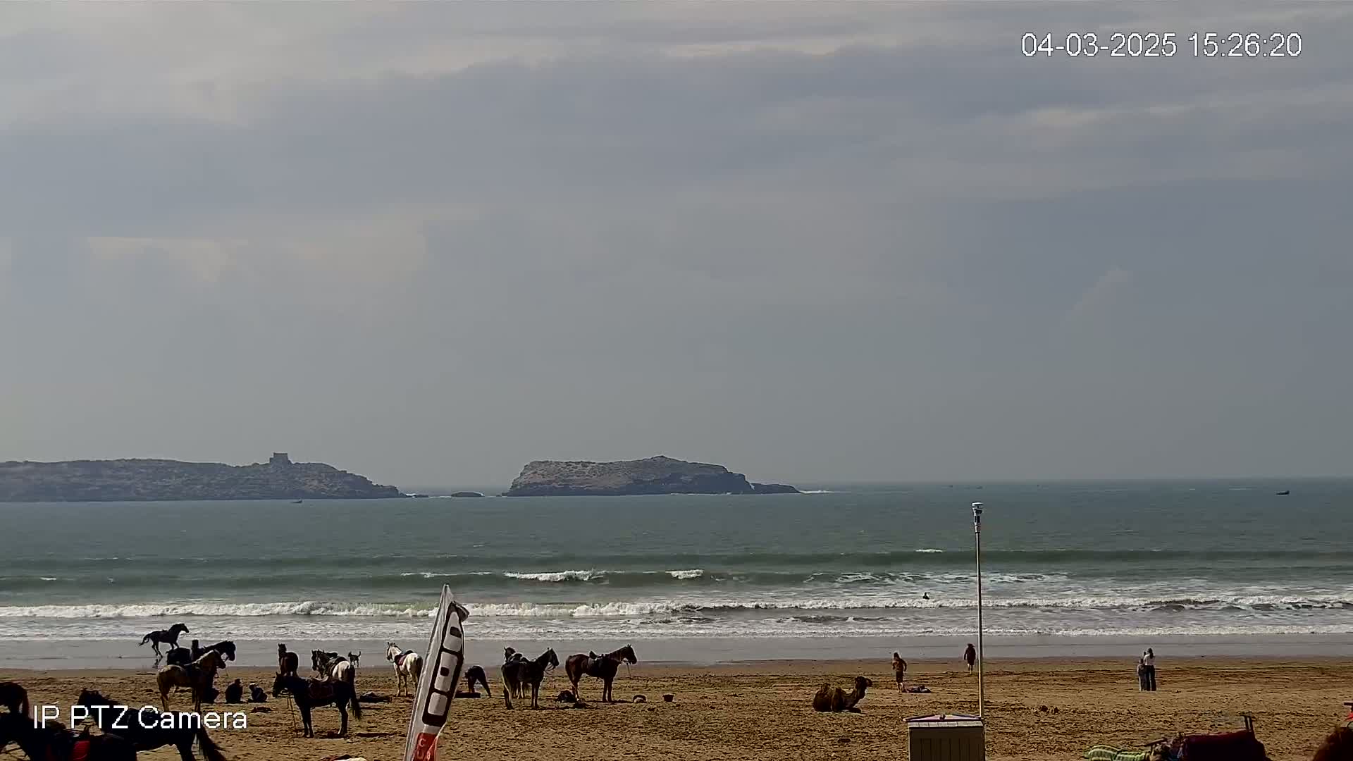 A sandy beach with several horses and people, under an overcast sky, overlooks a calm ocean with small waves and distant islands.