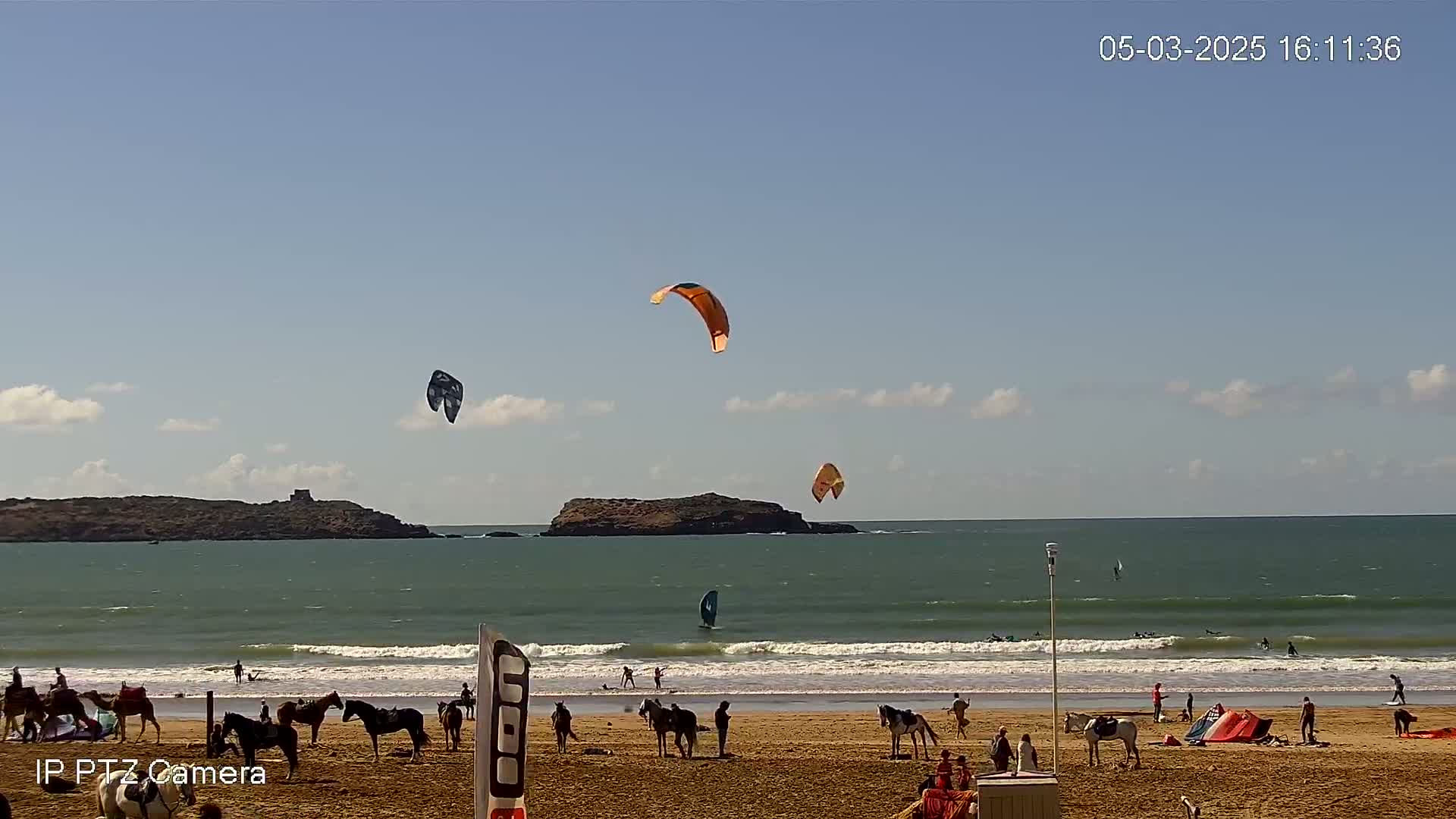 A sandy beach with horses and people, several kitesurfers in the ocean, and a few kites in the air under a mostly clear sky.