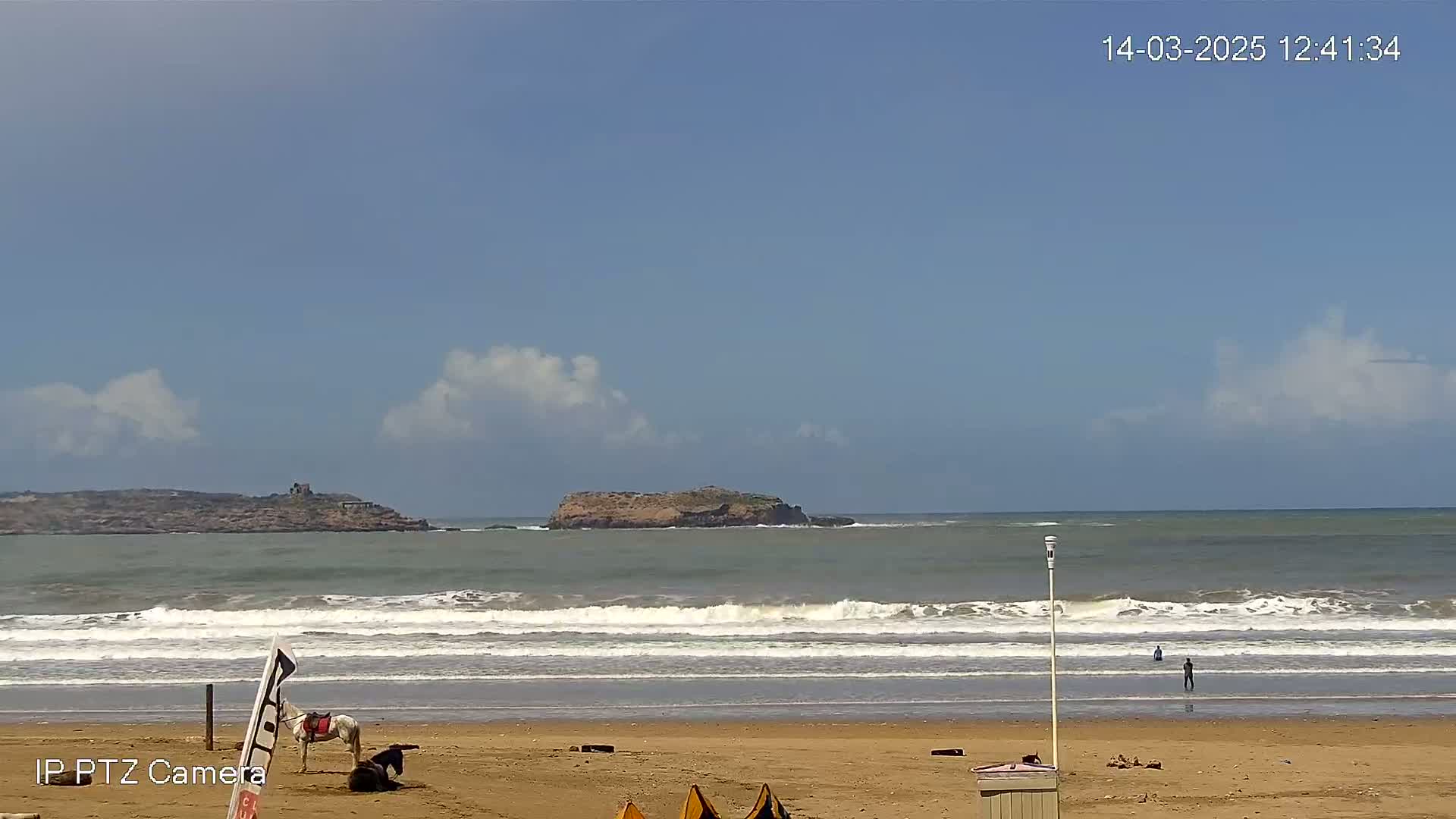 A sandy beach with a horse and donkey, small waves breaking on the shore, and two distant rocky islands under a partly cloudy sky.