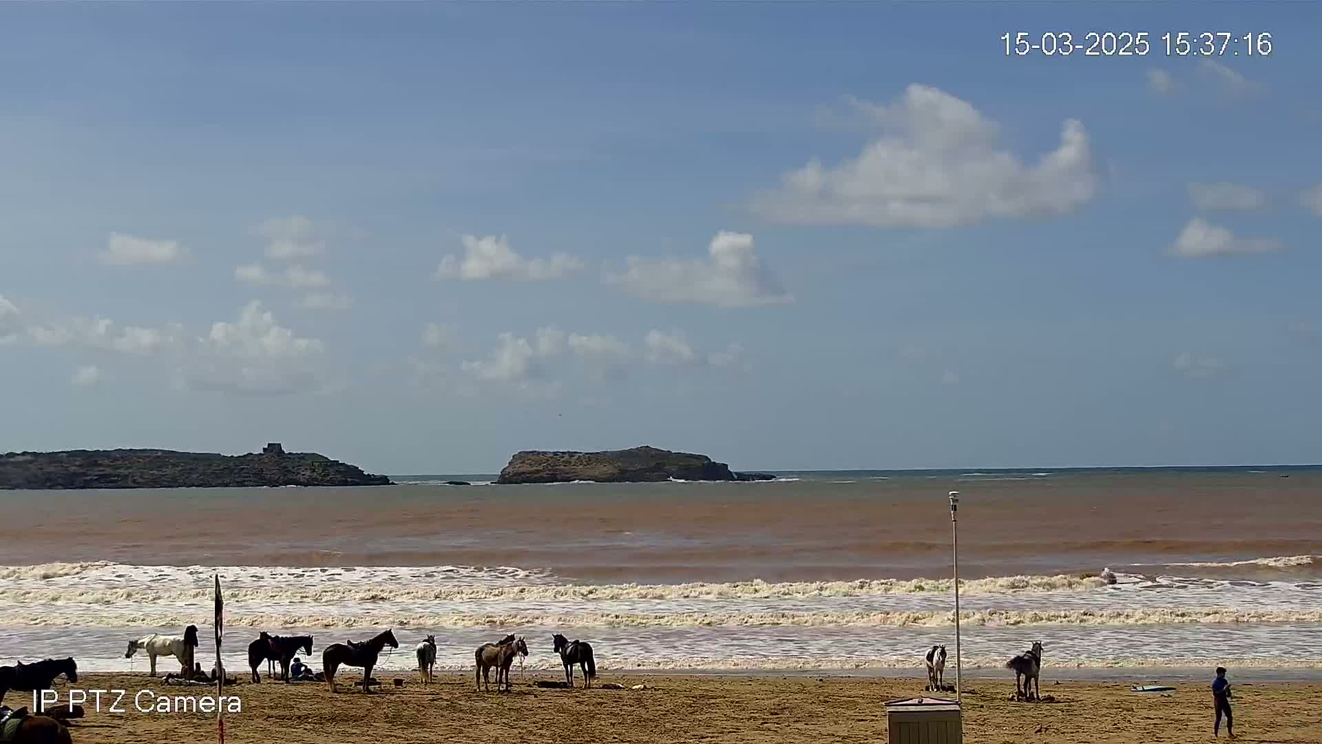 Several horses stand on a sandy beach under a partly cloudy sky, with gentle waves rolling in from a reddish-brown ocean.