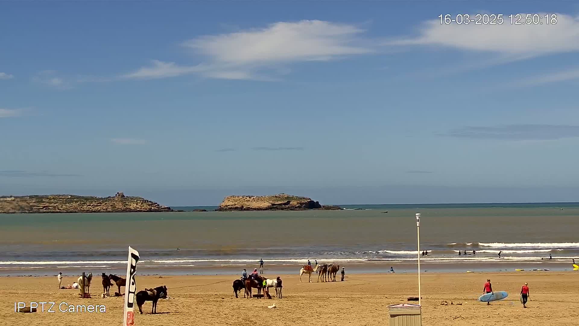 A sandy beach with people riding horses and camels, surfers in the ocean, and a small island in the distance under a mostly sunny sky.