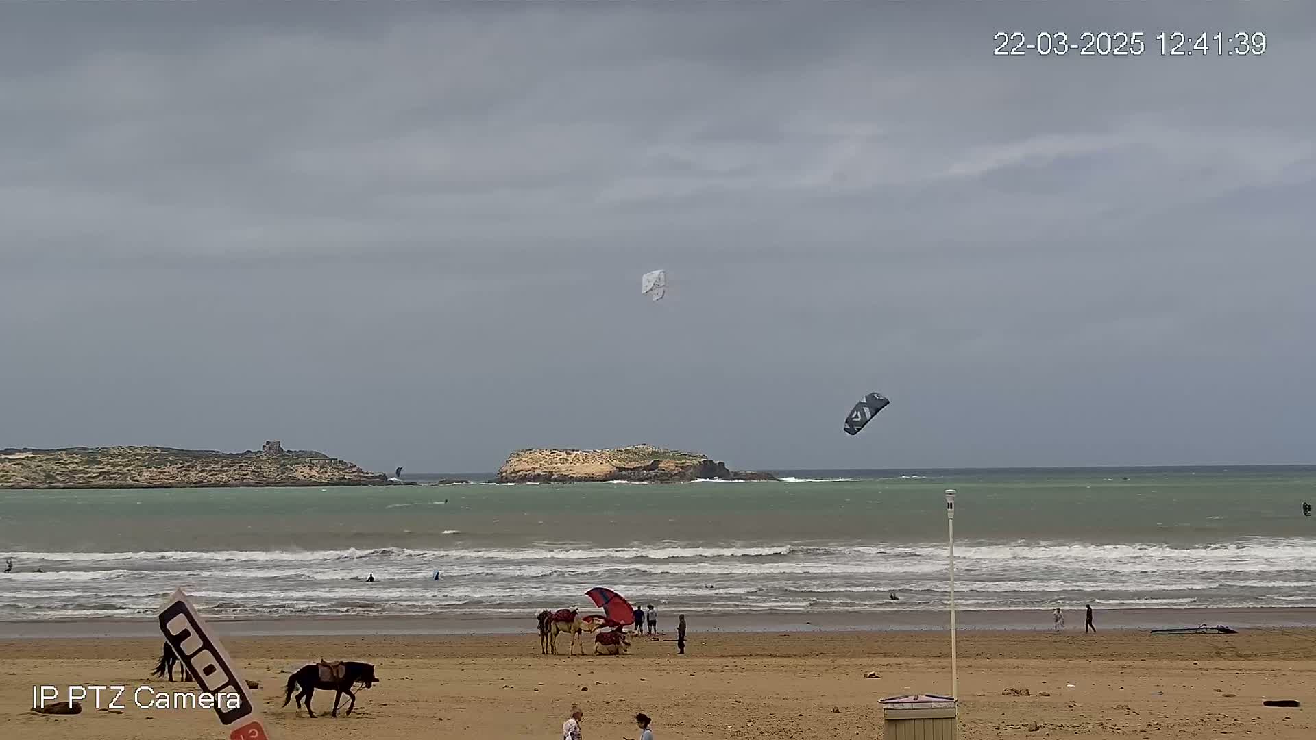 A sandy beach with people, horses, and kitesurfers under an overcast sky; two kites are visible in the air, one white and one dark-colored.