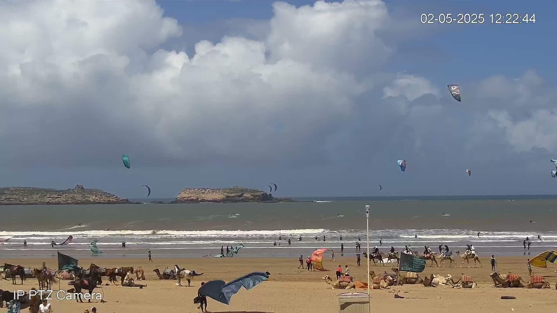 A sandy beach with camels and people, some kitesurfers in the ocean under a partly cloudy sky.
