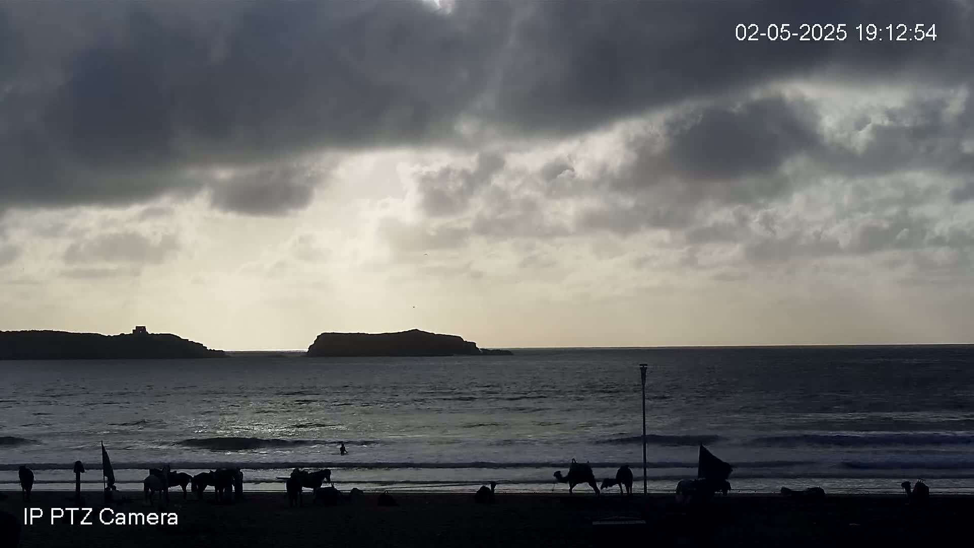 Silhouetted figures and animals are gathered on a beach under a cloudy sky, with a calm ocean and islands in the distance.