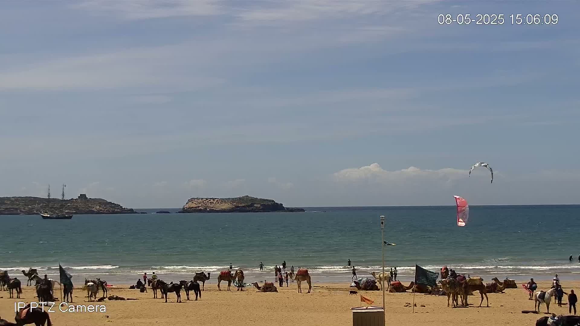 A sandy beach with camels and people, a calm ocean with a sailboat and kitesurfers, and a couple of islands in the distance under a mostly clear sky.