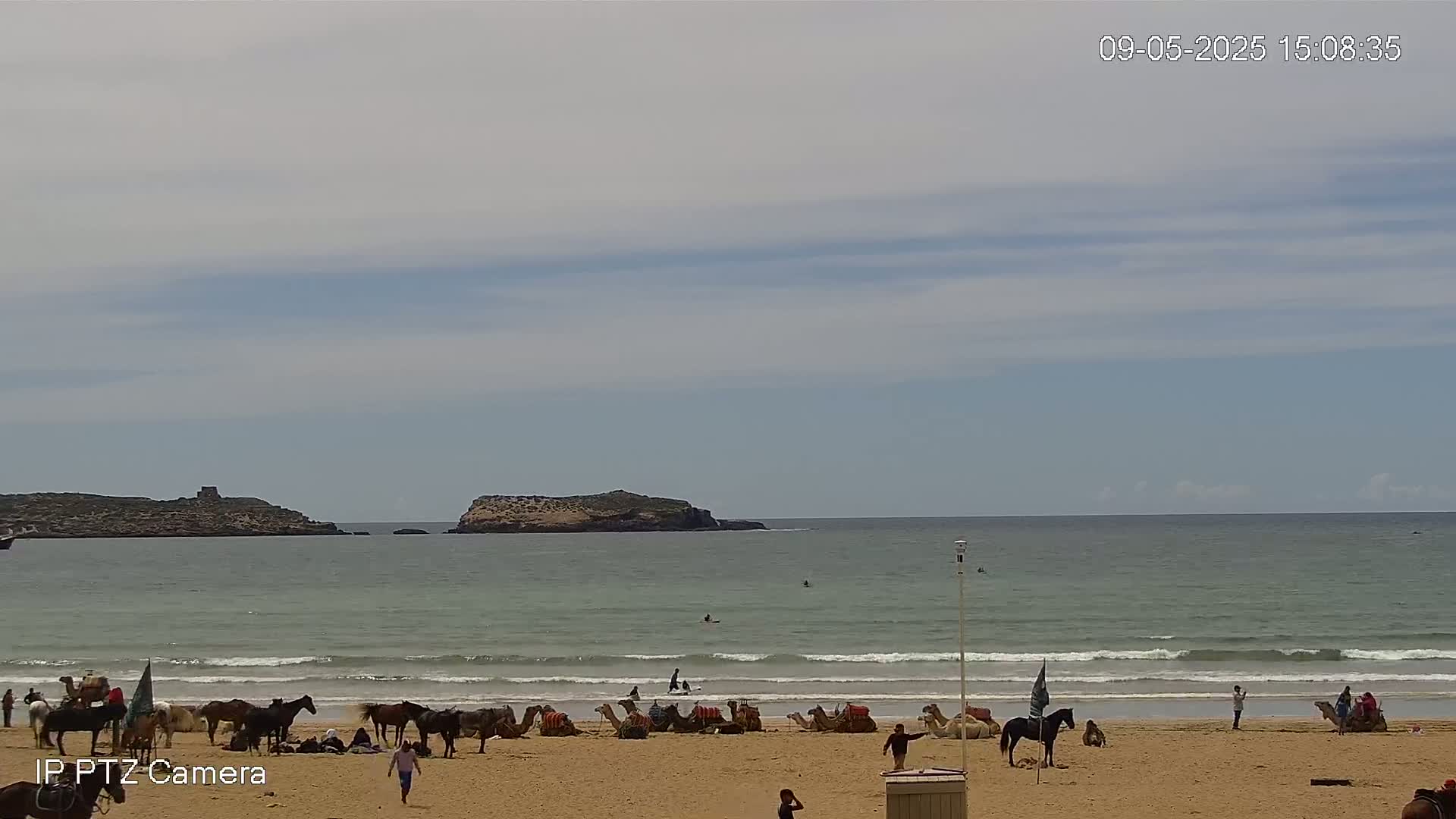 A sandy beach with several camels and horses, some ridden, and a few people, overlooks a calm ocean with small waves and two islands in the distance under a mostly cloudy sky.