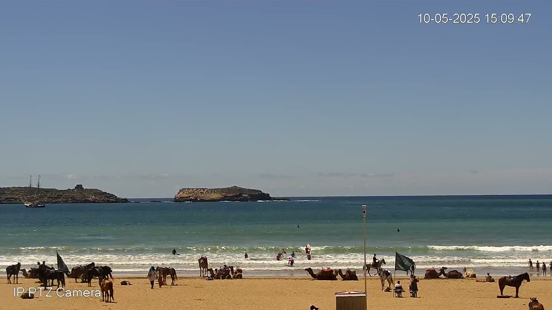 A sandy beach with people, horses, and camels, under a clear blue sky, shows gentle waves rolling into the shore, with a small island visible in the distance.
