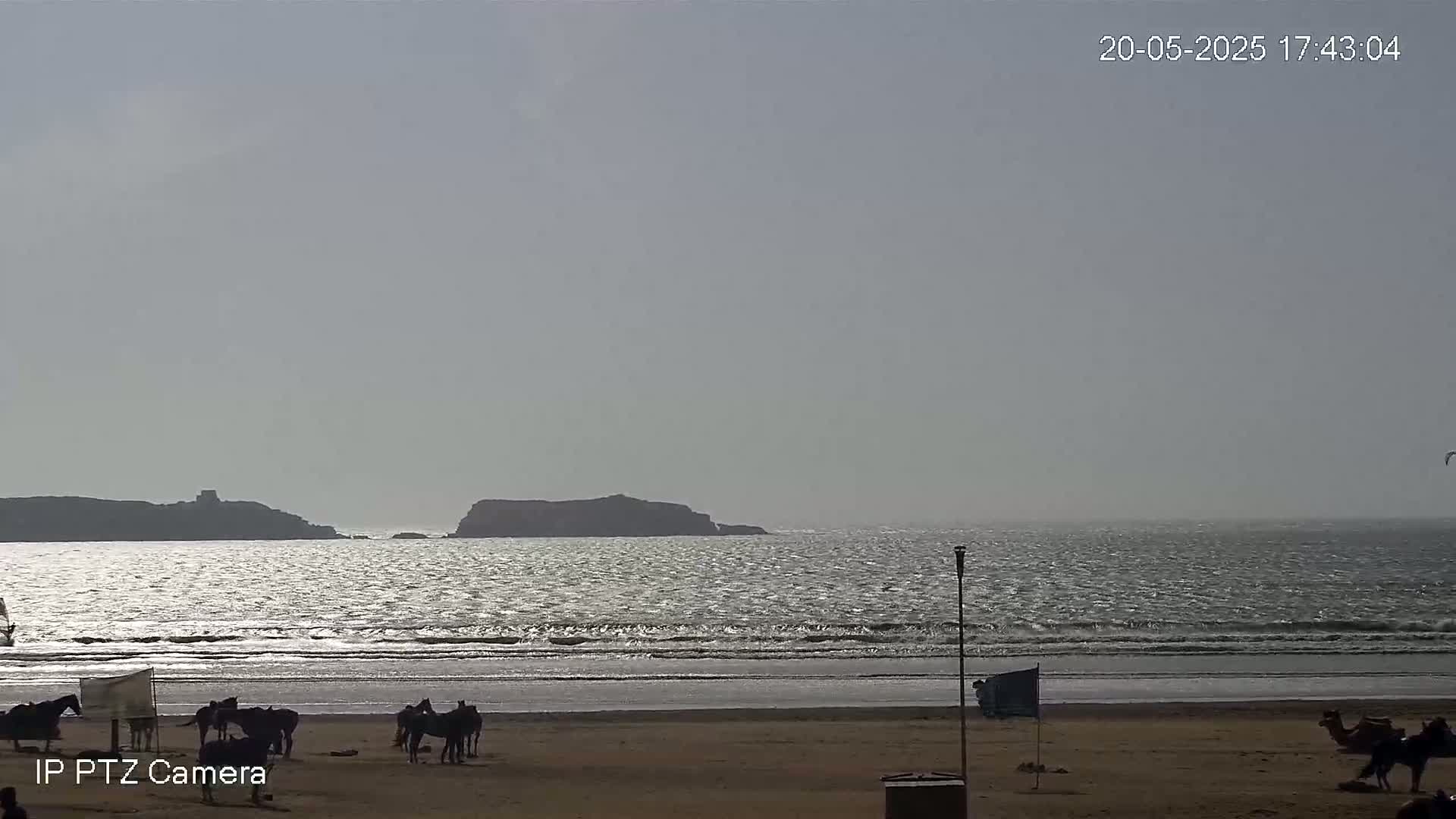 A sandy beach with horses and camels, under a mostly clear sky, overlooks a calm sea with small waves and distant islands.