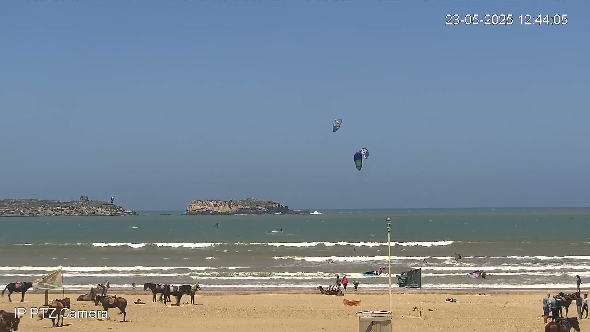 A sandy beach with several horses and people, some kite surfers in the ocean, and a clear, sunny sky.