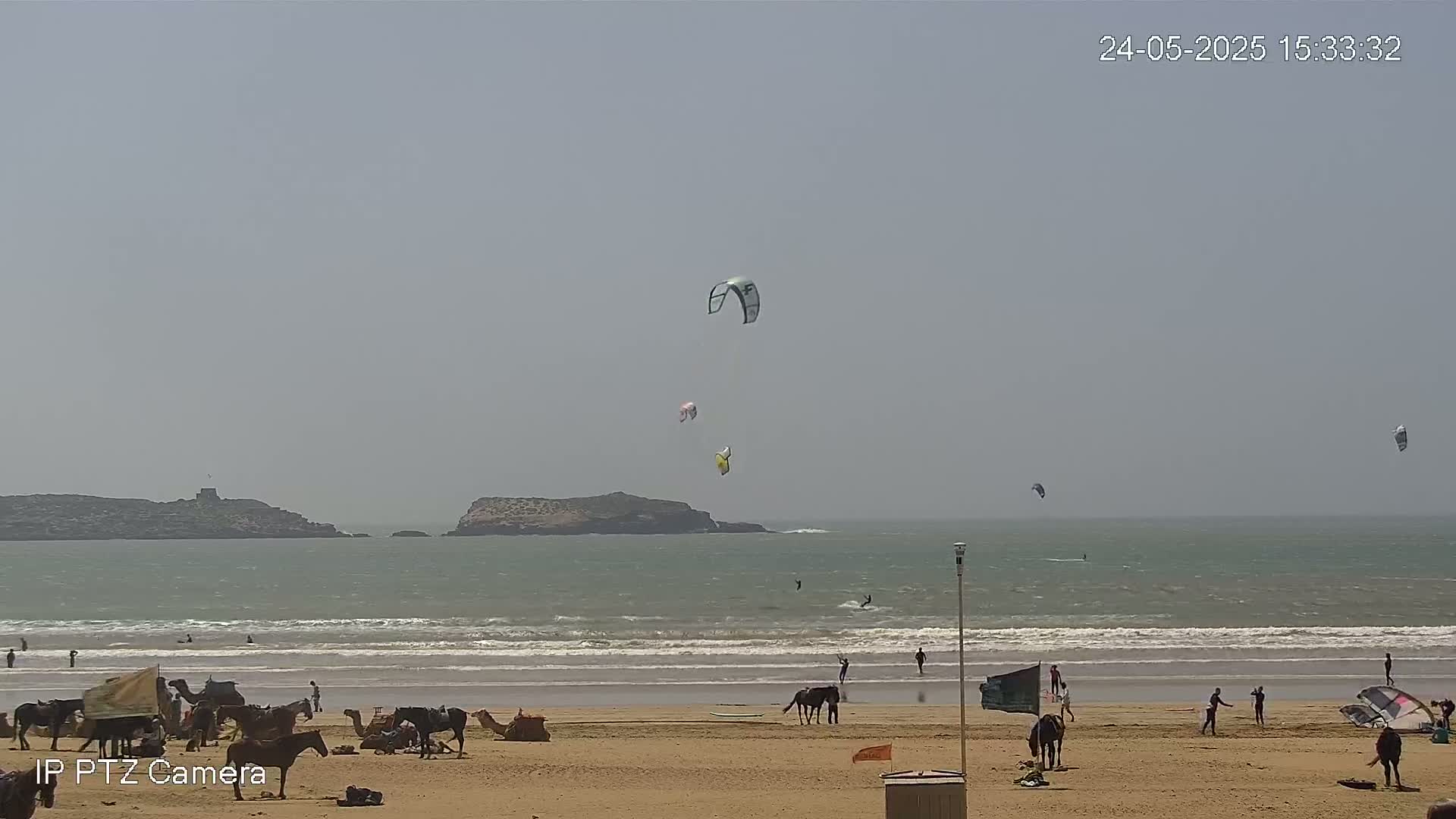 A sandy beach with several horses and people, some kitesurfers in the ocean, and a hazy sky.