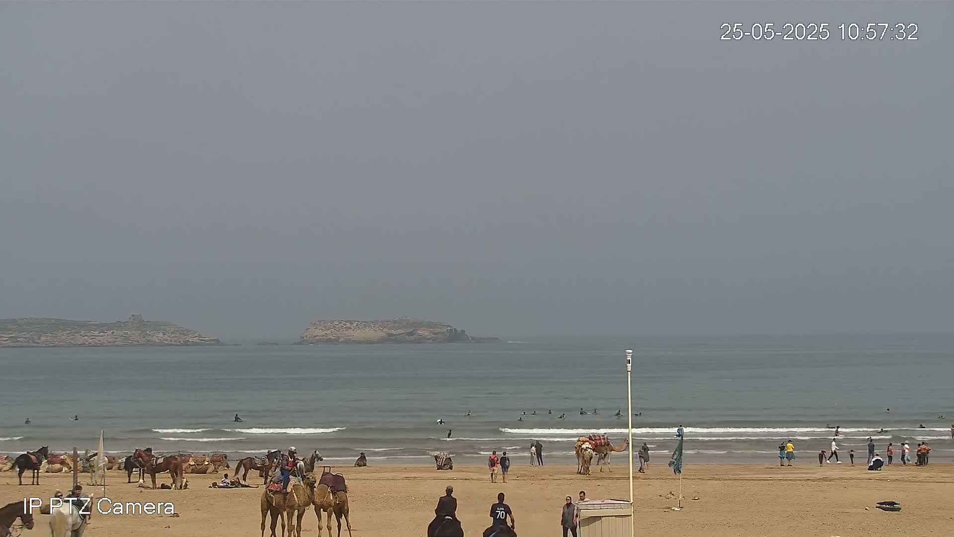 A sandy beach with people, camels, and horses under an overcast sky, with a calm ocean and distant islands in the background.