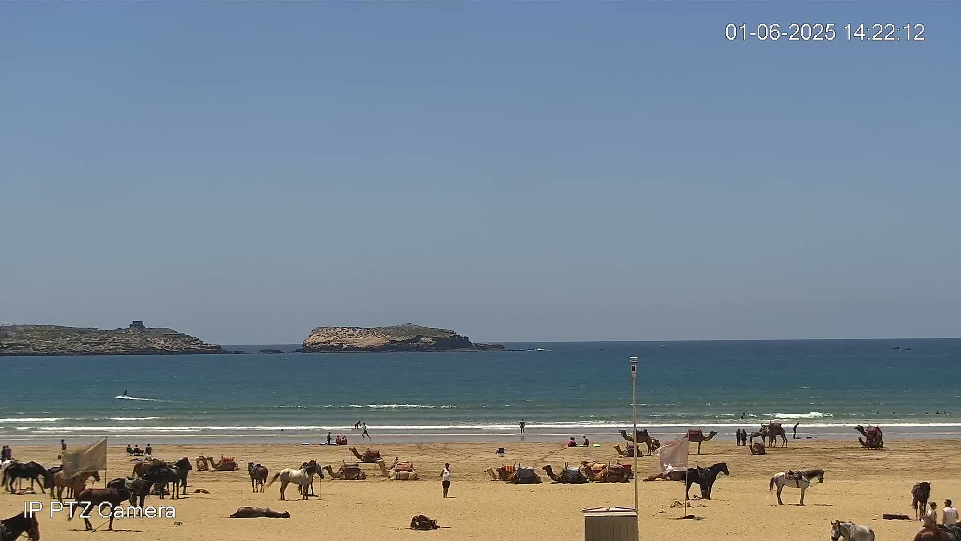 A sandy beach with horses and camels, a calm ocean with small waves, and two small islands in the distance under a clear blue sky.