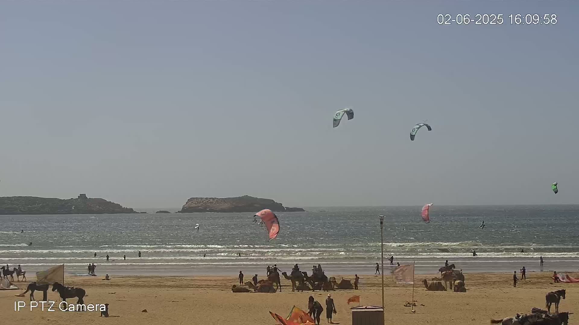 A sandy beach with several kitesurfers in the water and on the shore, camels and horses, under a clear, sunny sky.