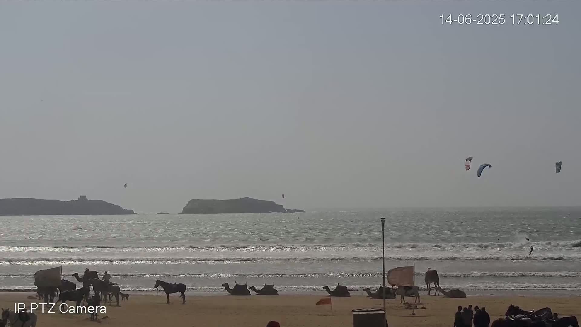 A sandy beach with camels and horses, a few kitesurfers in the ocean, and hazy, overcast skies.