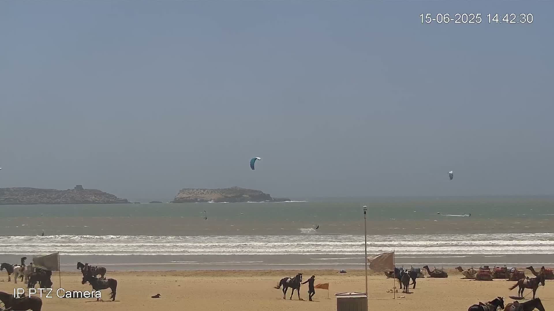 A sandy beach with several horses and camels on it, a calm ocean with kite surfers, and an island in the distance under a hazy sky.