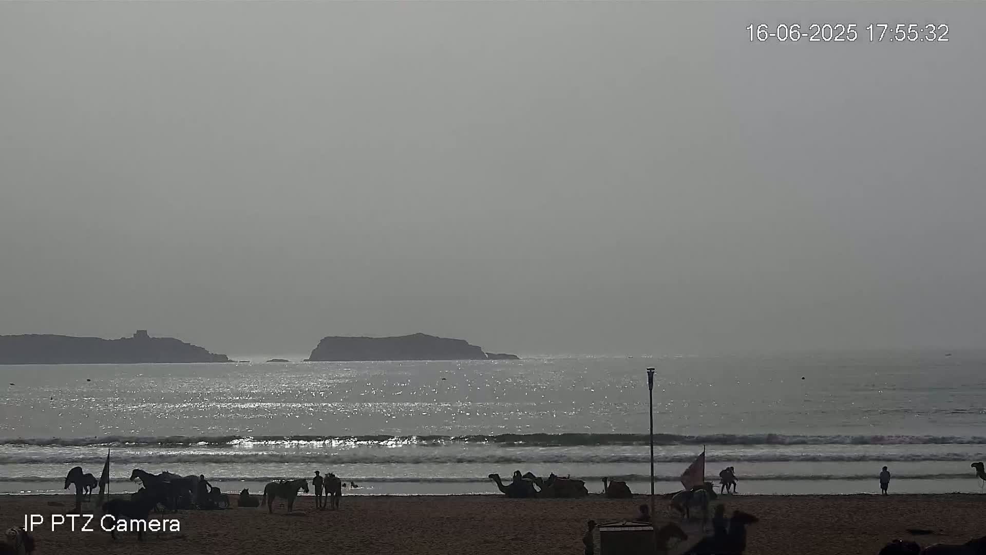 A hazy beach scene shows a calm ocean with small waves lapping a sandy shore where camels and horses stand near people.