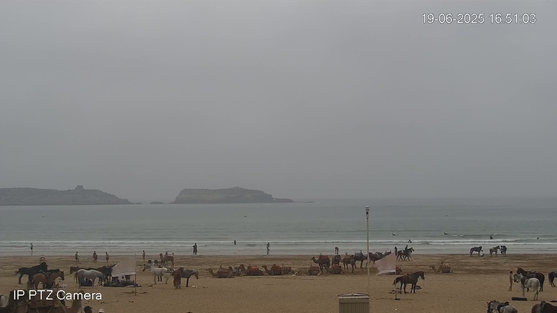 A hazy beach scene shows several people riding horses and camels on a sandy beach near a calm ocean with small waves and distant islands under a gray sky.