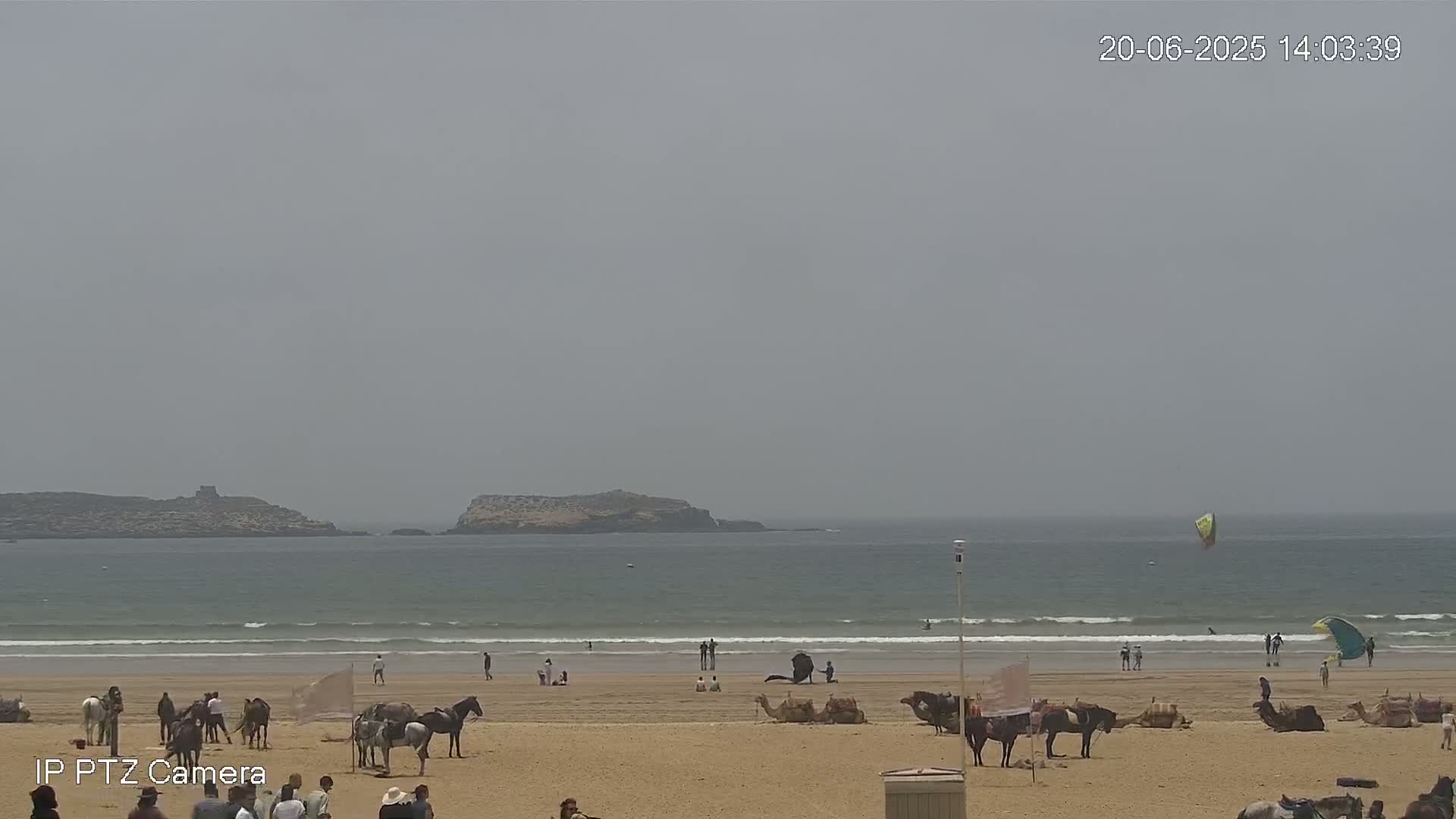 A hazy beach scene shows people, horses, and camels on the sand near a calm ocean with small waves and distant islands under a cloudy sky.