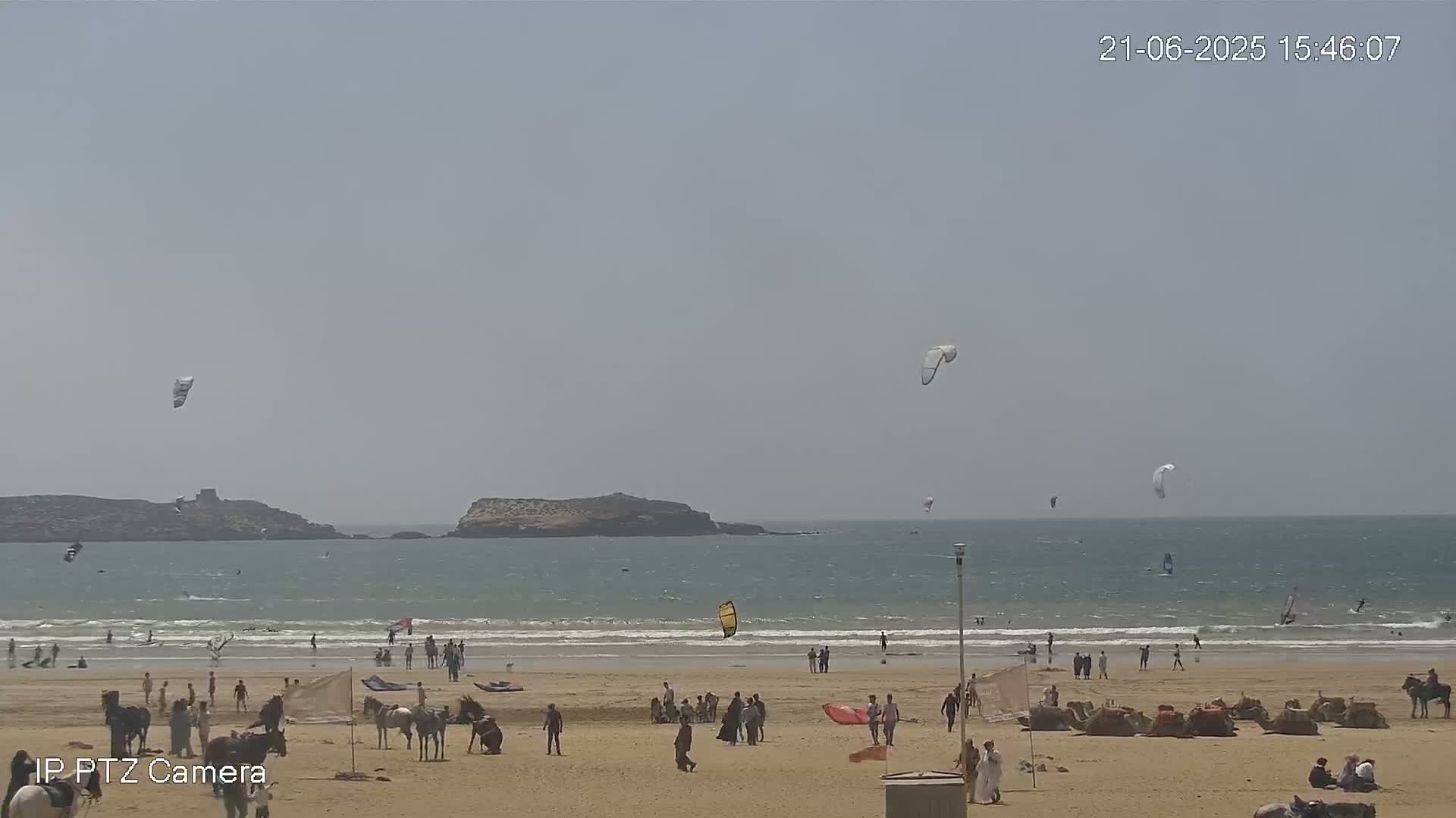 A sandy beach with people, horses, and camels, several kitesurfers in the ocean under a hazy sky.