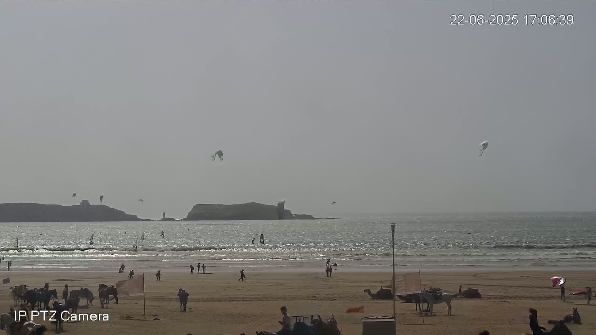 A hazy beach scene shows several people and animals on the sand, windsurfers and kitesurfers in the water, and a small island in the distance.